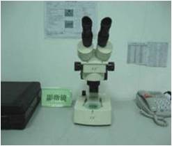 278